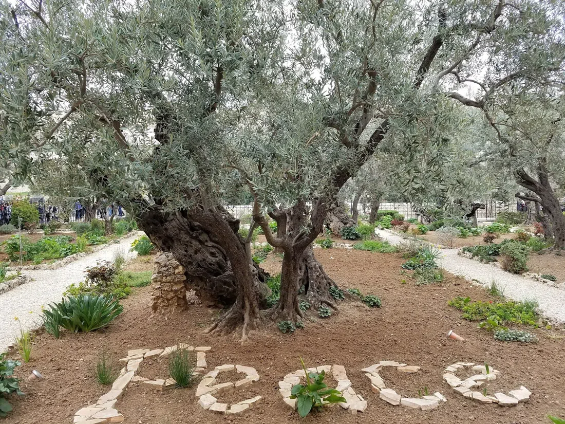 Getsemane trädgård och Alla nationers kyrka, Jerusalem