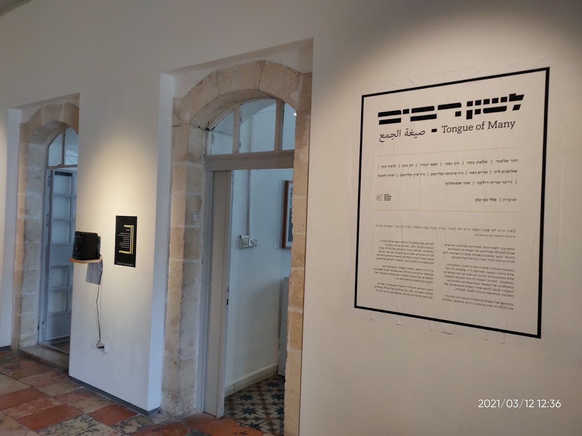 The New Gallery Musrara — photo 5